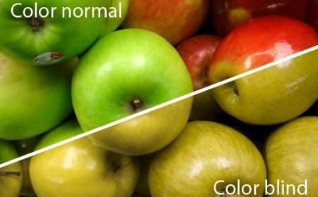 COLOR BLINDNESS-1